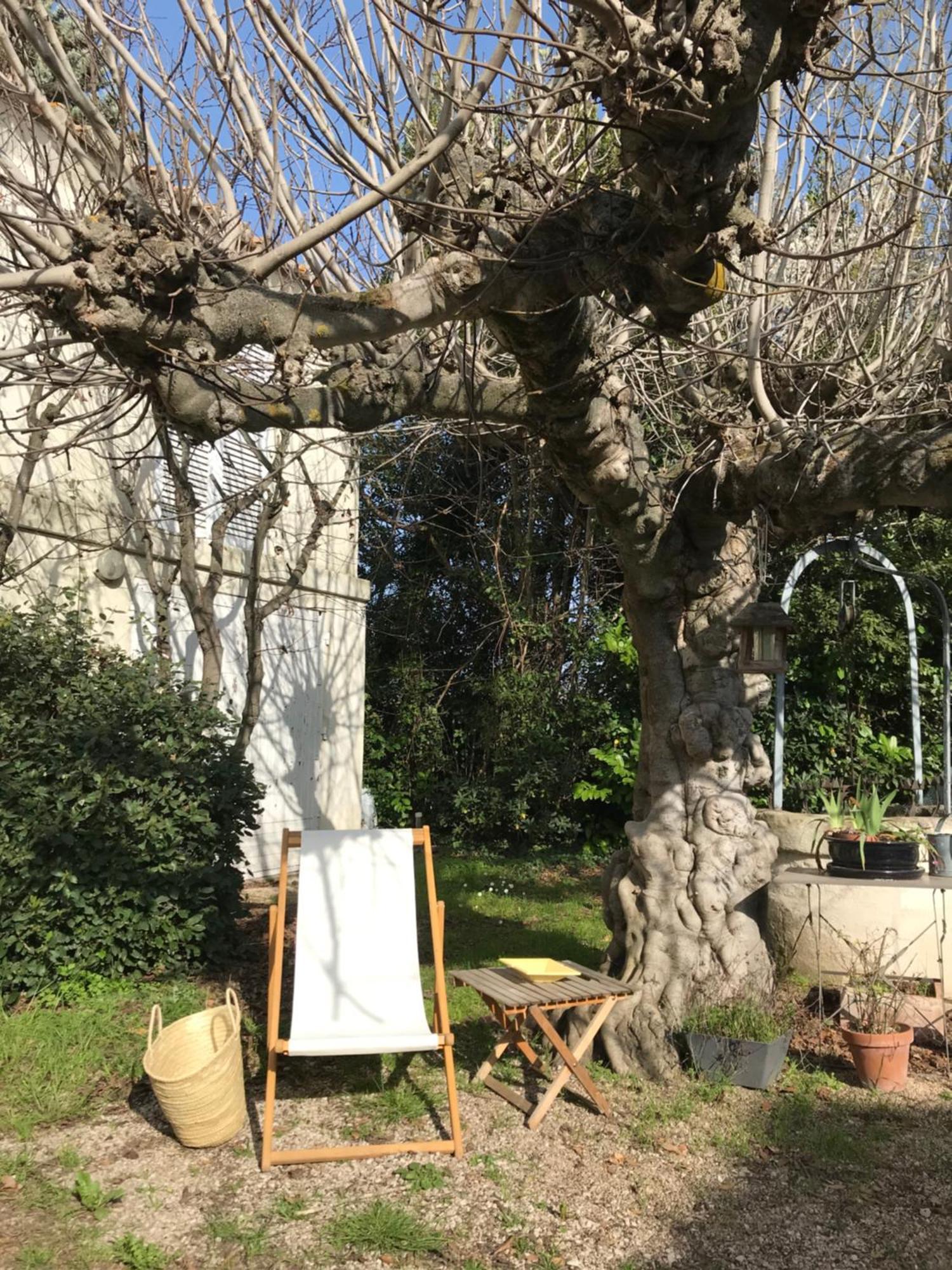 Des Figuiers Hébergement de vacances Arles